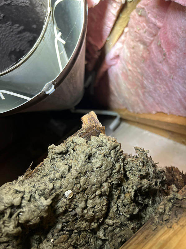 chimney with metal lining